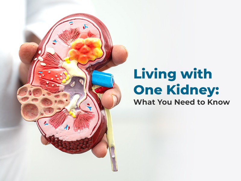 Living with One Kidney: What You Need to Know