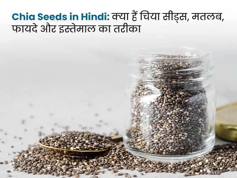 Chia Seeds in Hindi: क्या हैं चिया सीड्स, मतलब, फायदे और इस्तेमाल का तरीका