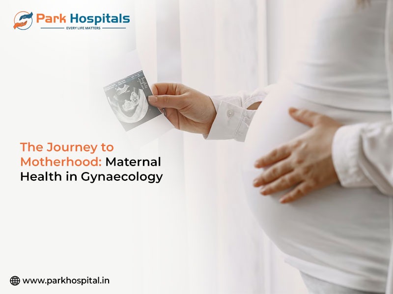 The Journey to Motherhood: Maternal Health in Gynaecology