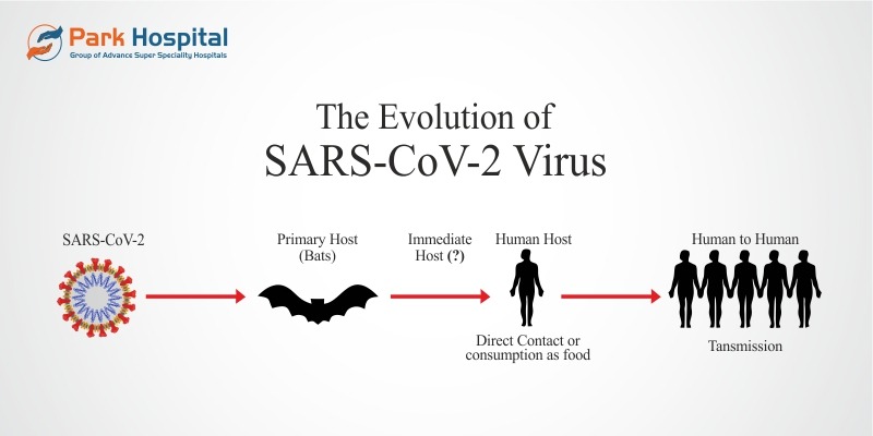 The Evolution of SARS-CoV-2 Virus