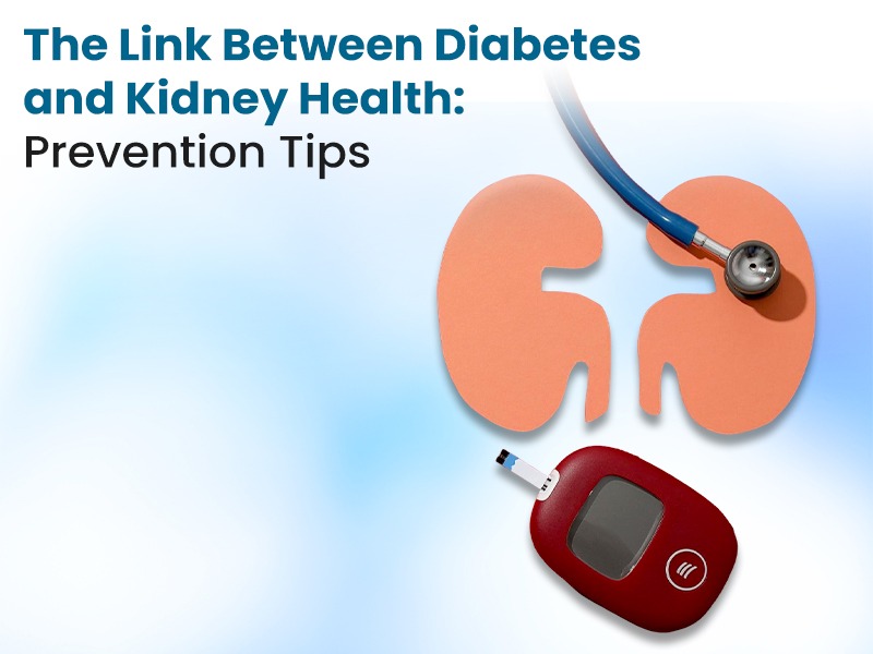 The Link Between Diabetes and Kidney Health: Prevention Tips