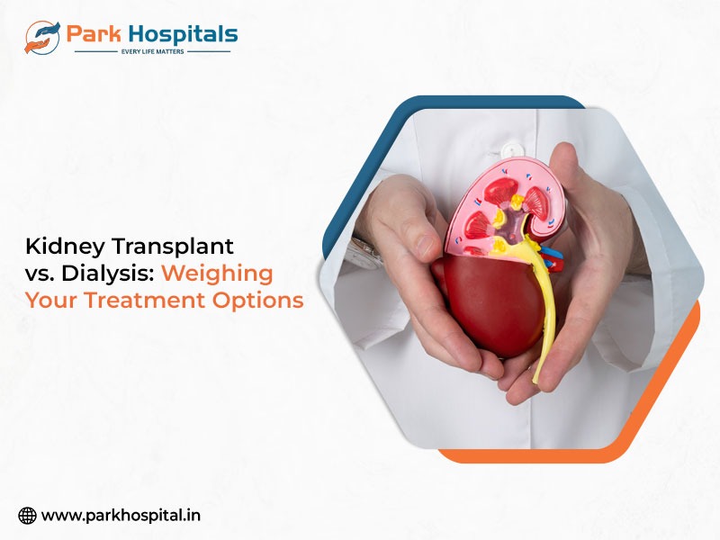Kidney Transplant vs. Dialysis: Weighing Your Treatment Options