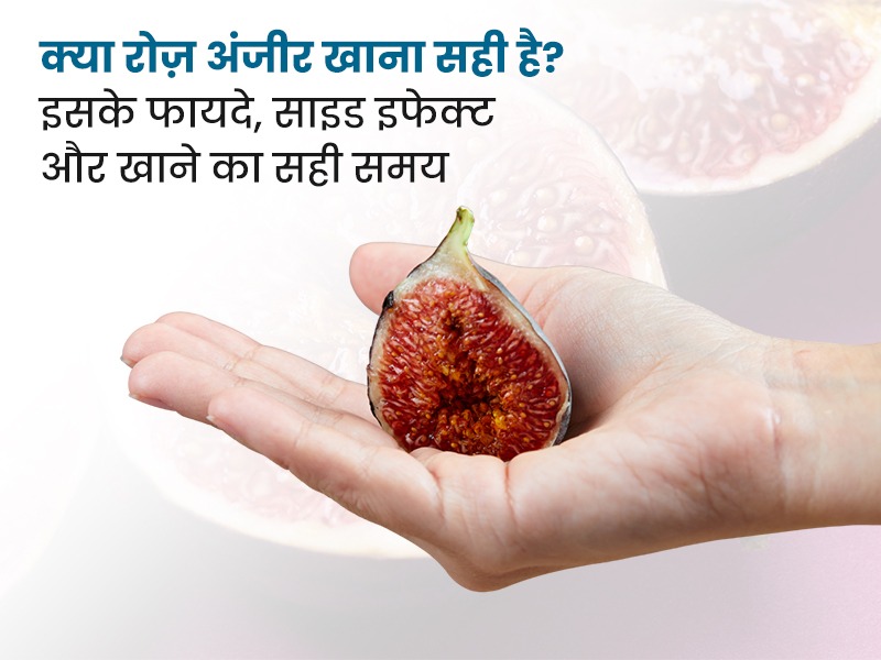 क्या रोज़ अंजीर खाना सही है? इसके फायदे, साइड इफेक्ट और खाने का सही समय