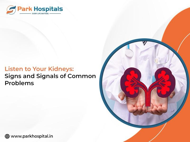 Listen to Your Kidneys: Signs and Signals of Common Problems