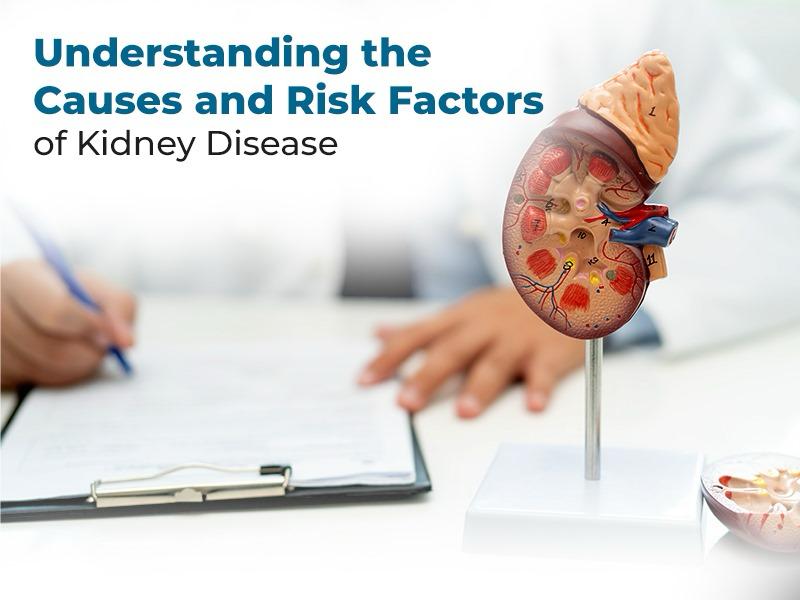 Understanding the Causes and Risk Factors of Kidney Disease