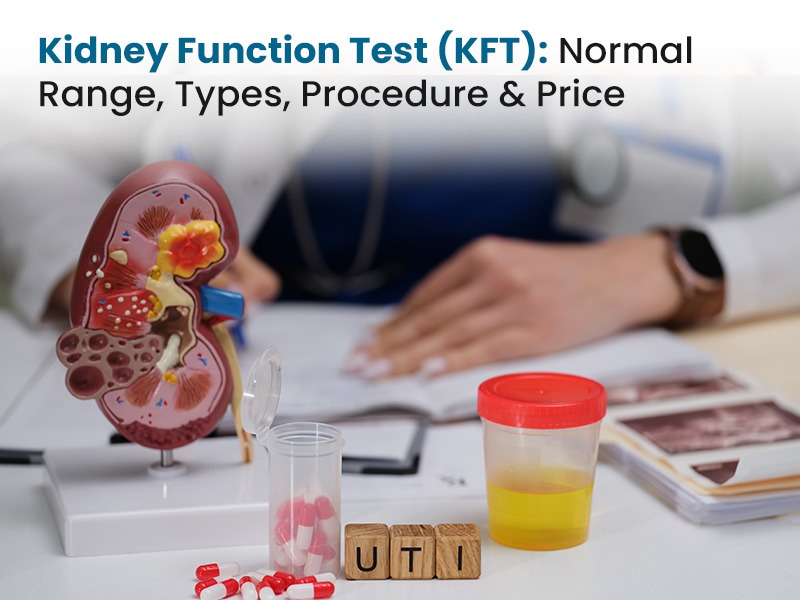 Kidney Function Test (KFT): Normal Range, Types, Procedure & Price