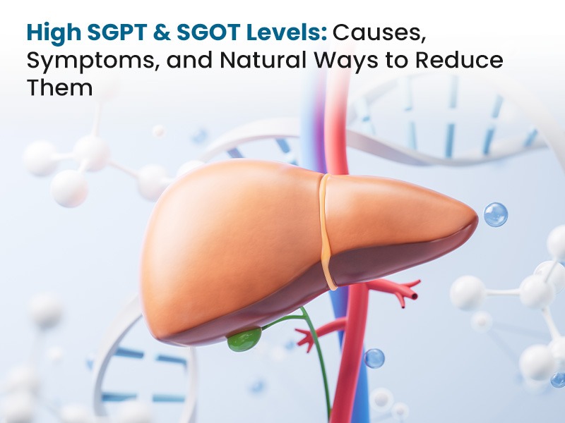 High SGPT & SGOT Levels: Causes, Symptoms, and Natural Ways to Reduce Them