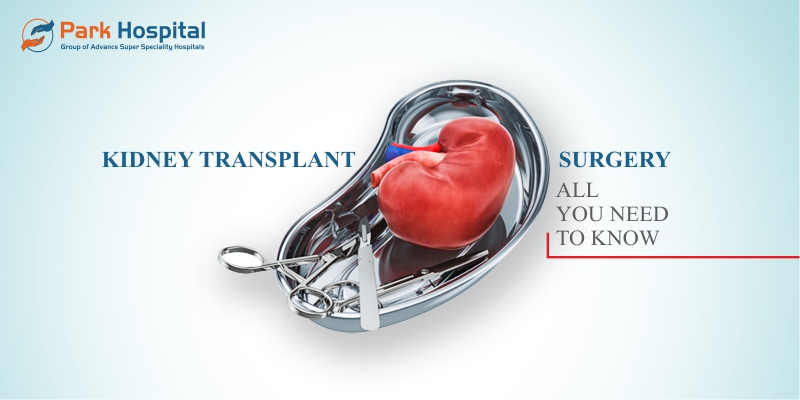 Kidney transplant surgery – all you need to know