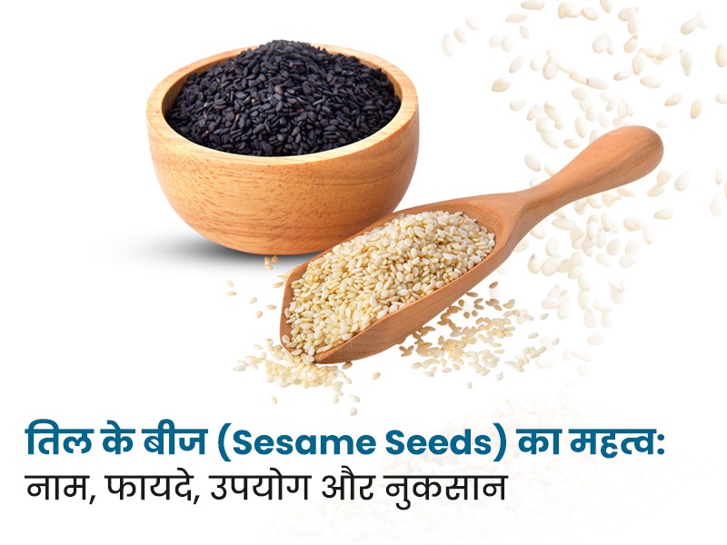 तिल के बीज (Sesame Seeds) का महत्व: नाम, फायदे, उपयोग और नुकसान